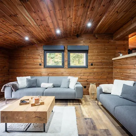 La Perle Verte, Luxe, Piscine, Et Sauna Chalet Gérardmer